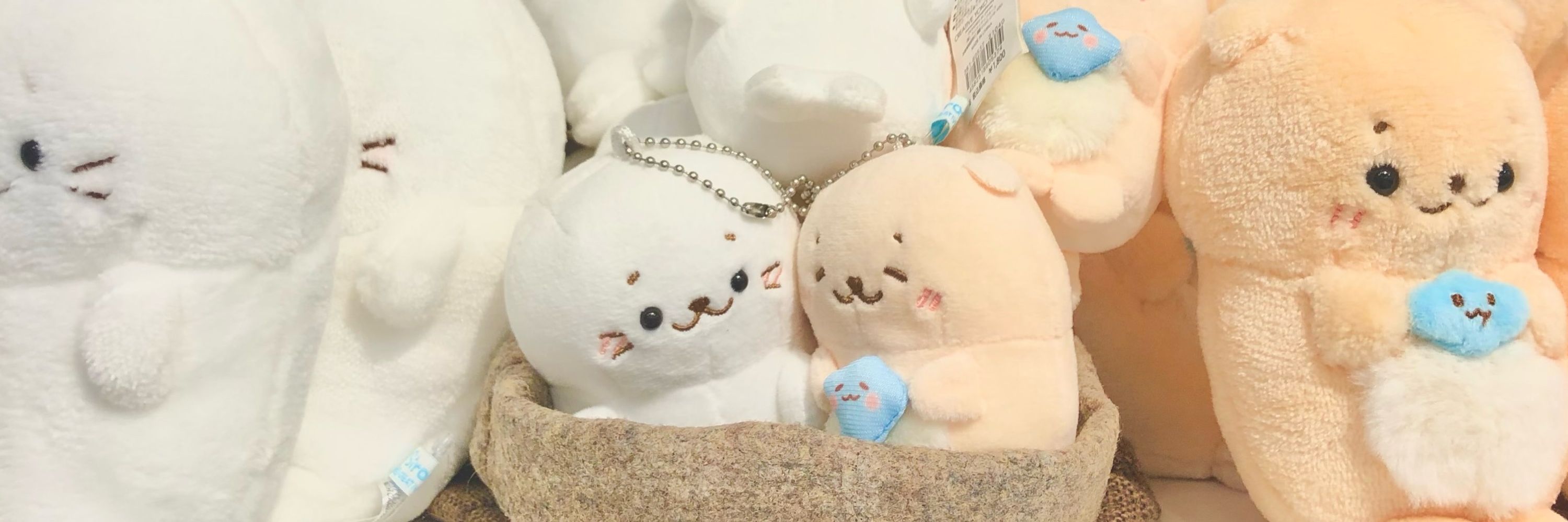 もぴこ