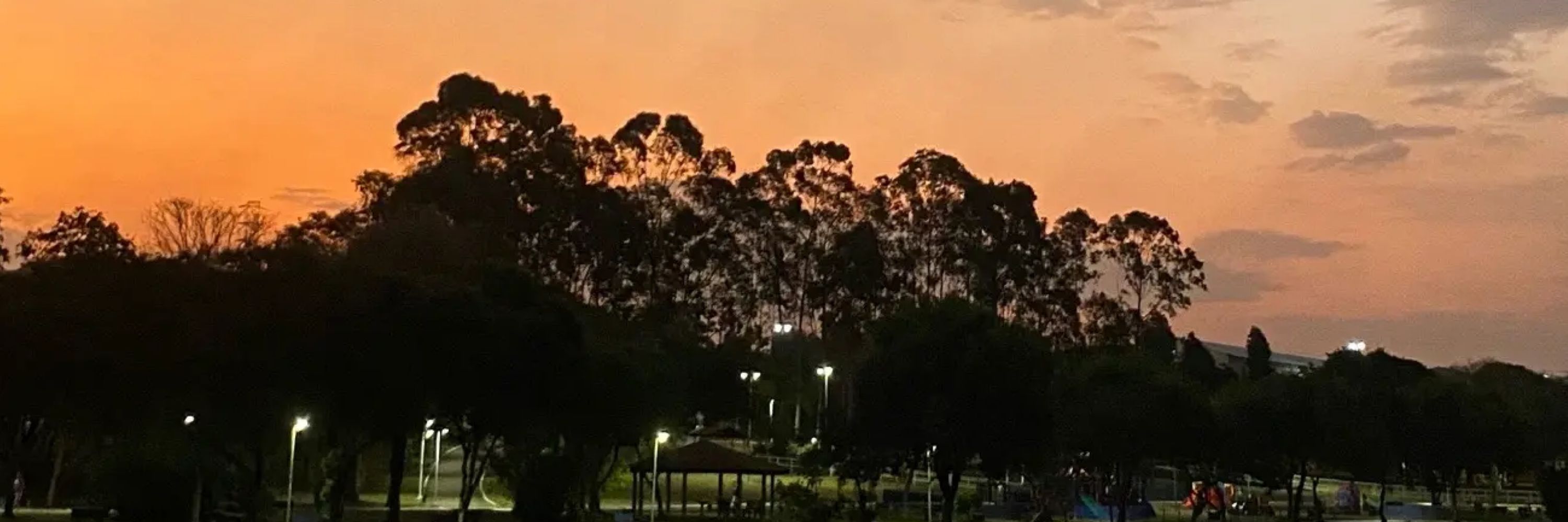 Vitória só nome, tá? 🧸