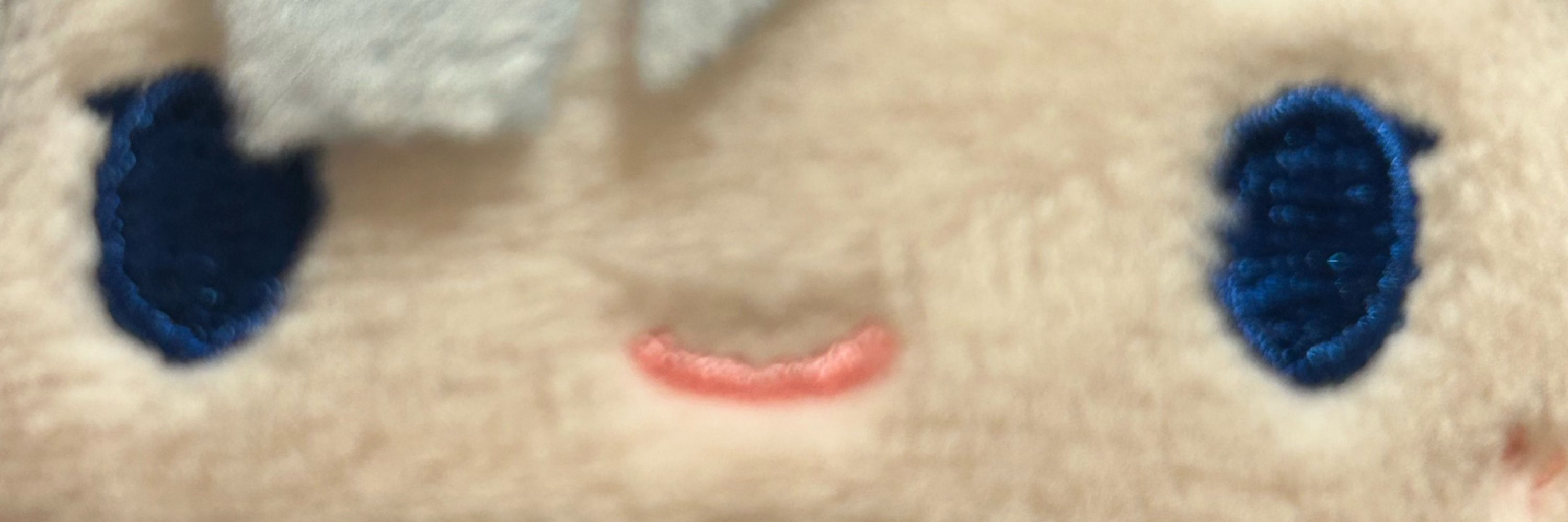 わしぇ