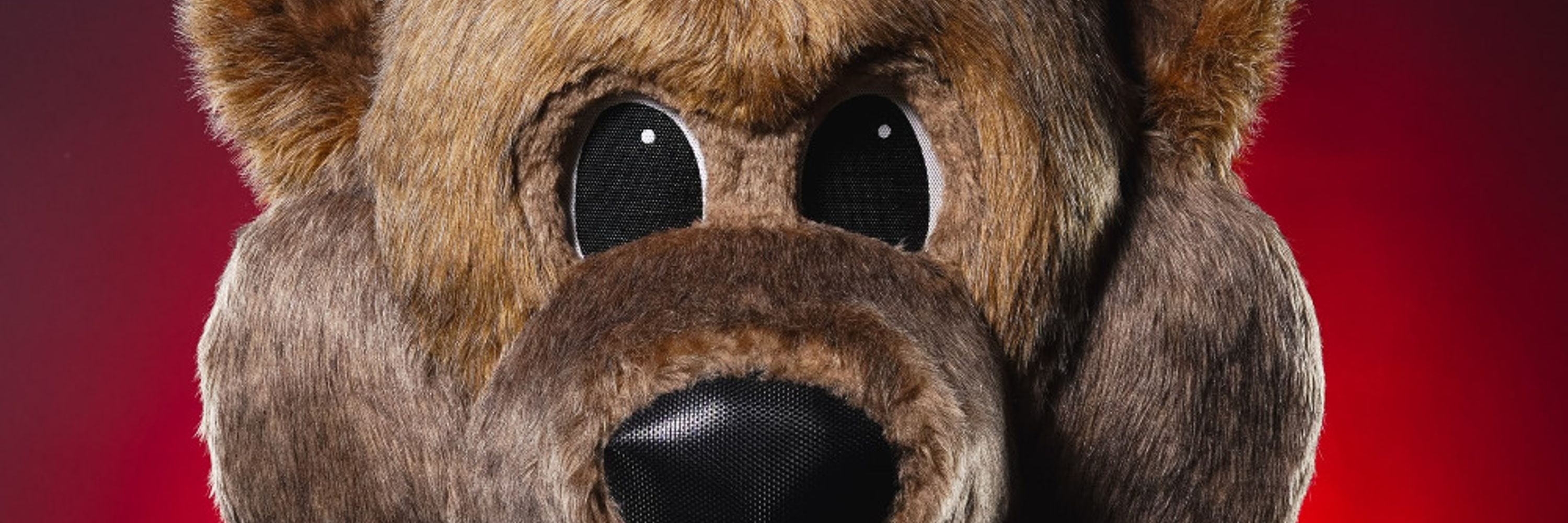 Howler the Coyote