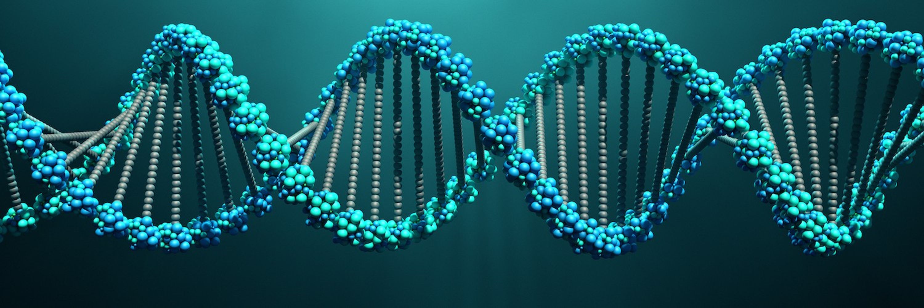 APS Division of Biological Physics