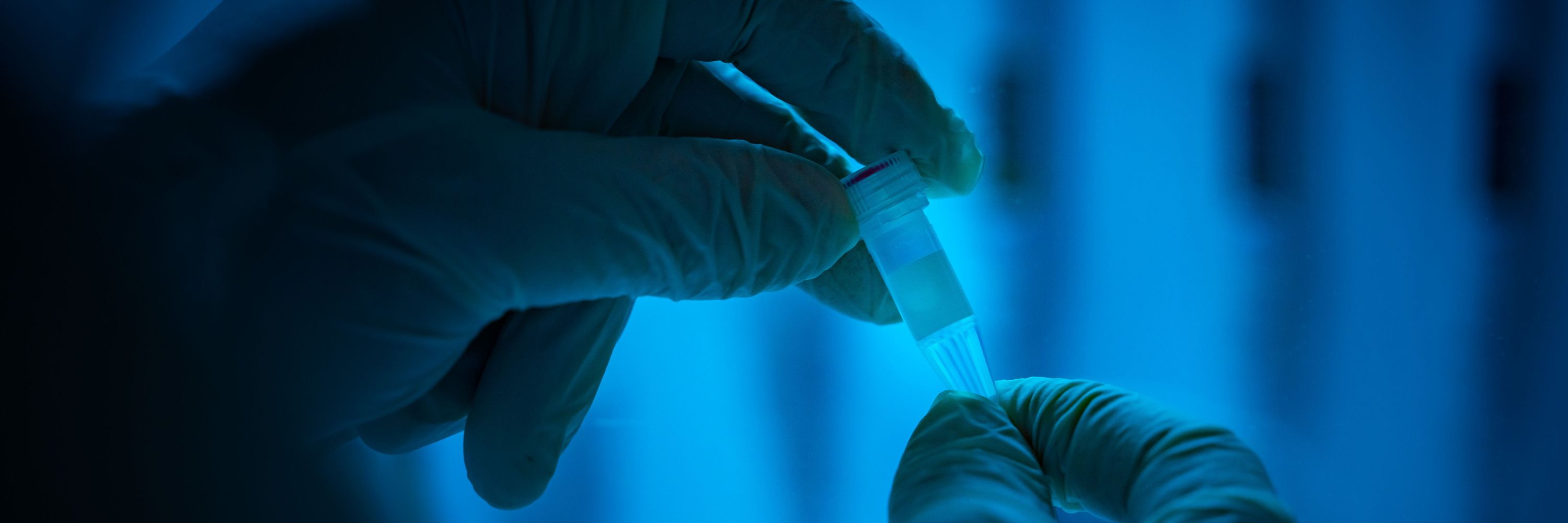 Paleogenomics UNIZAR