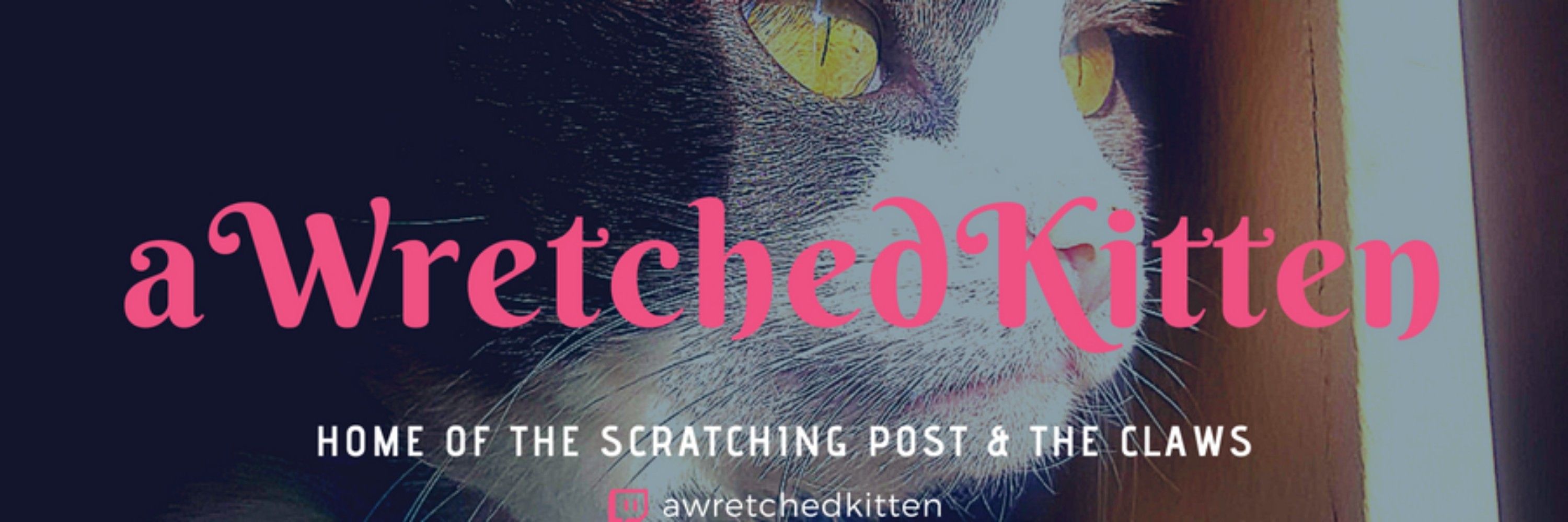 aWretchedKitten