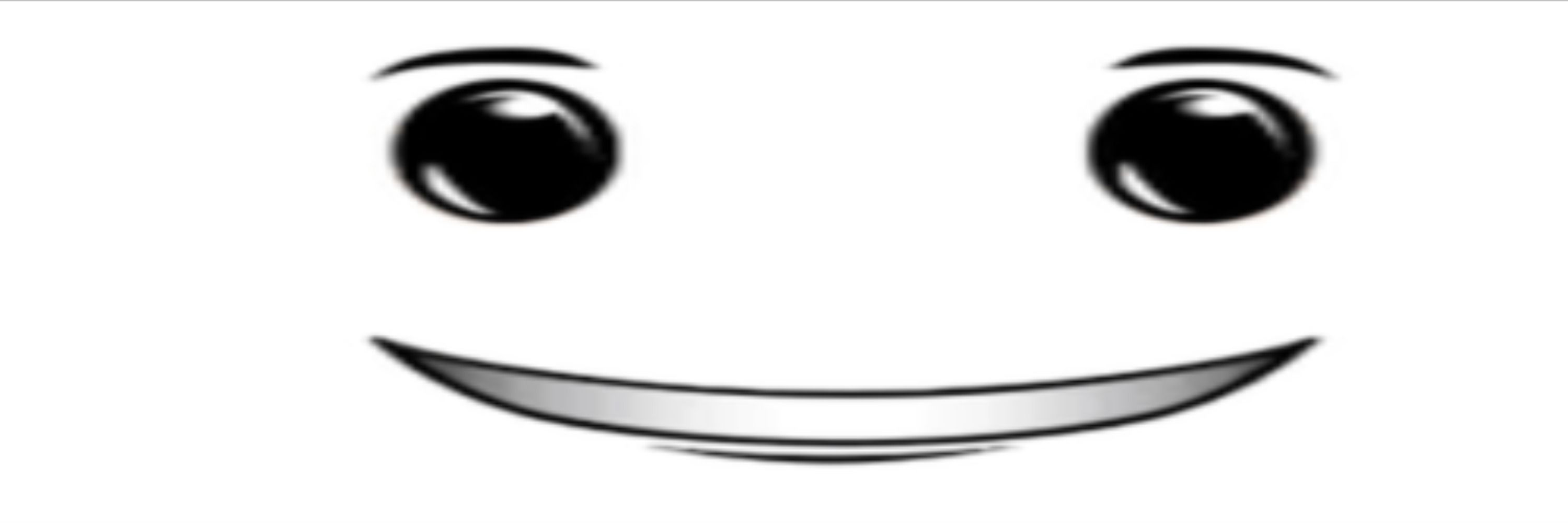 GUI_SUS