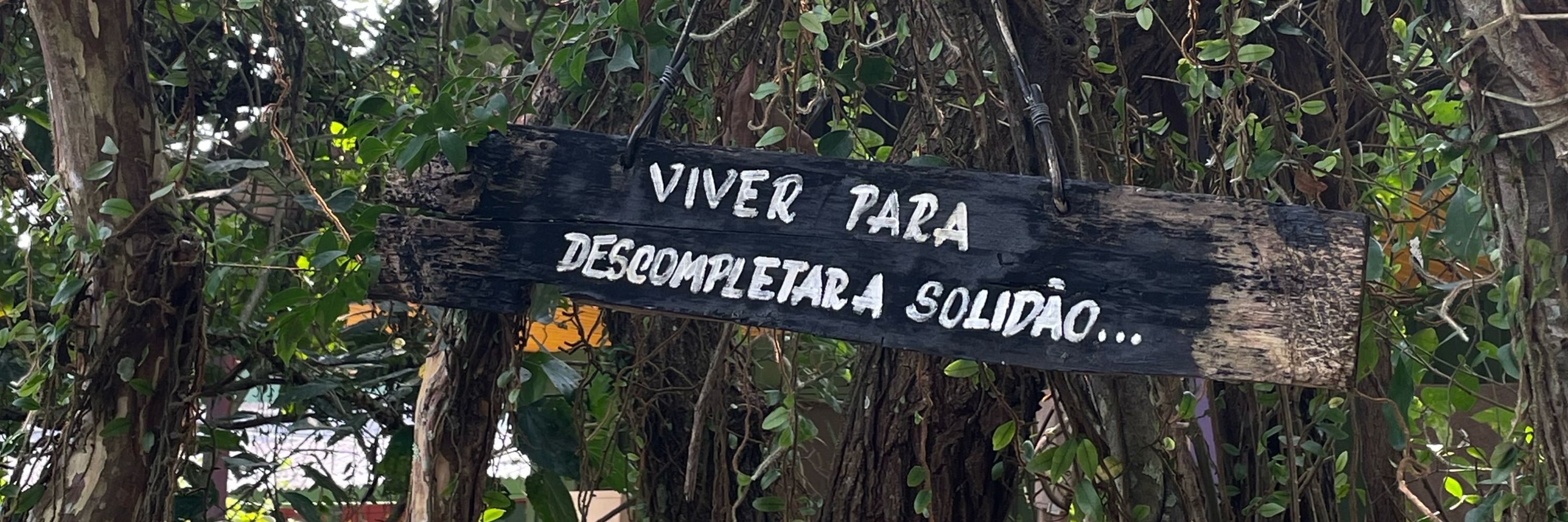 Cajuína no Paraná