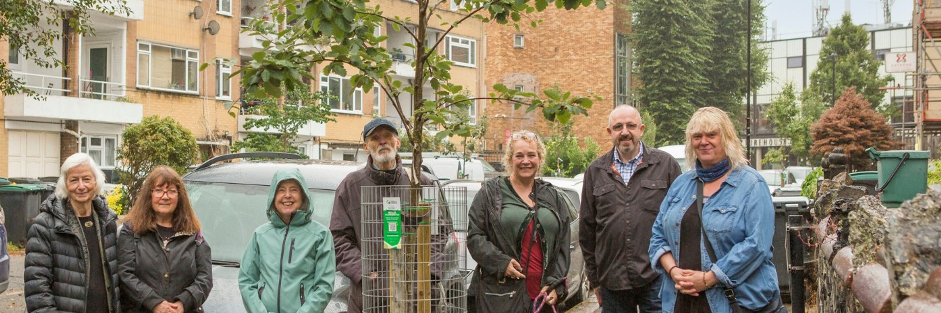 Trees For Streets