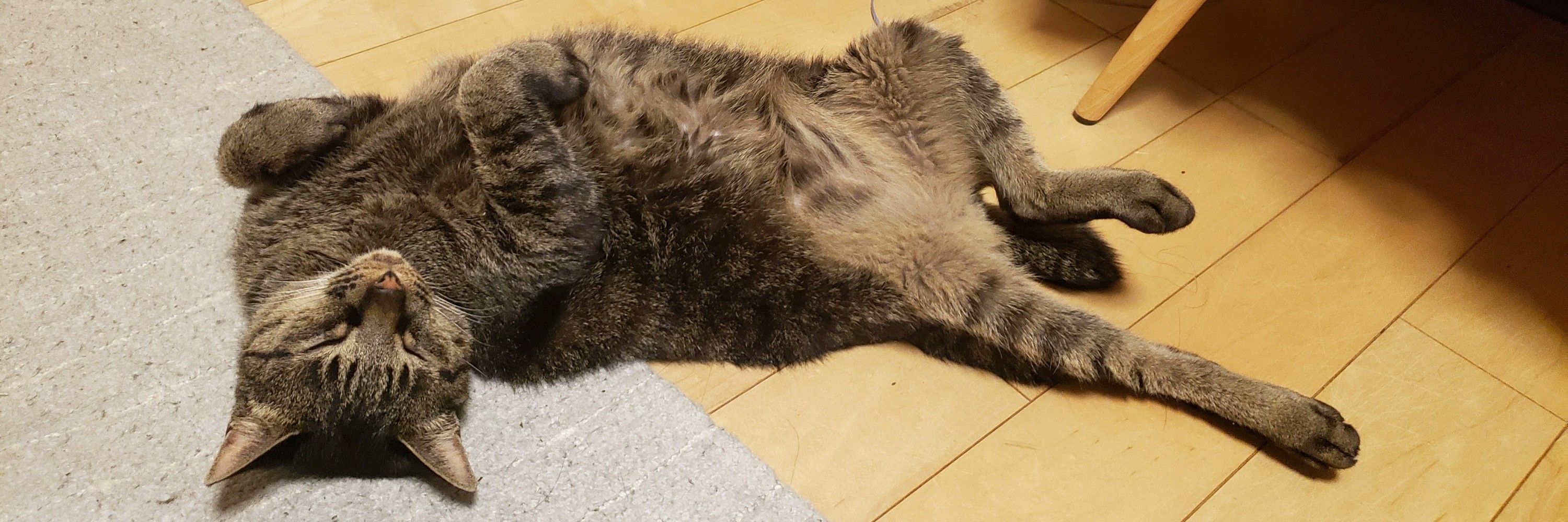 おめぇかよ