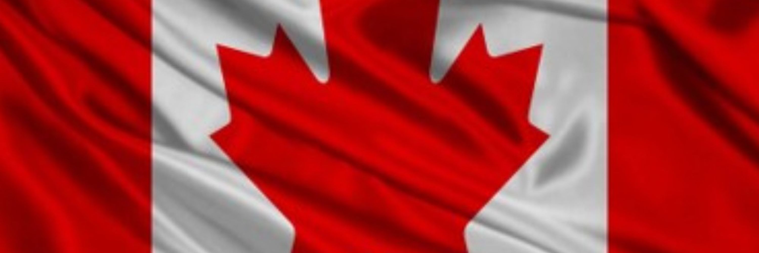 Luis Desde Canada