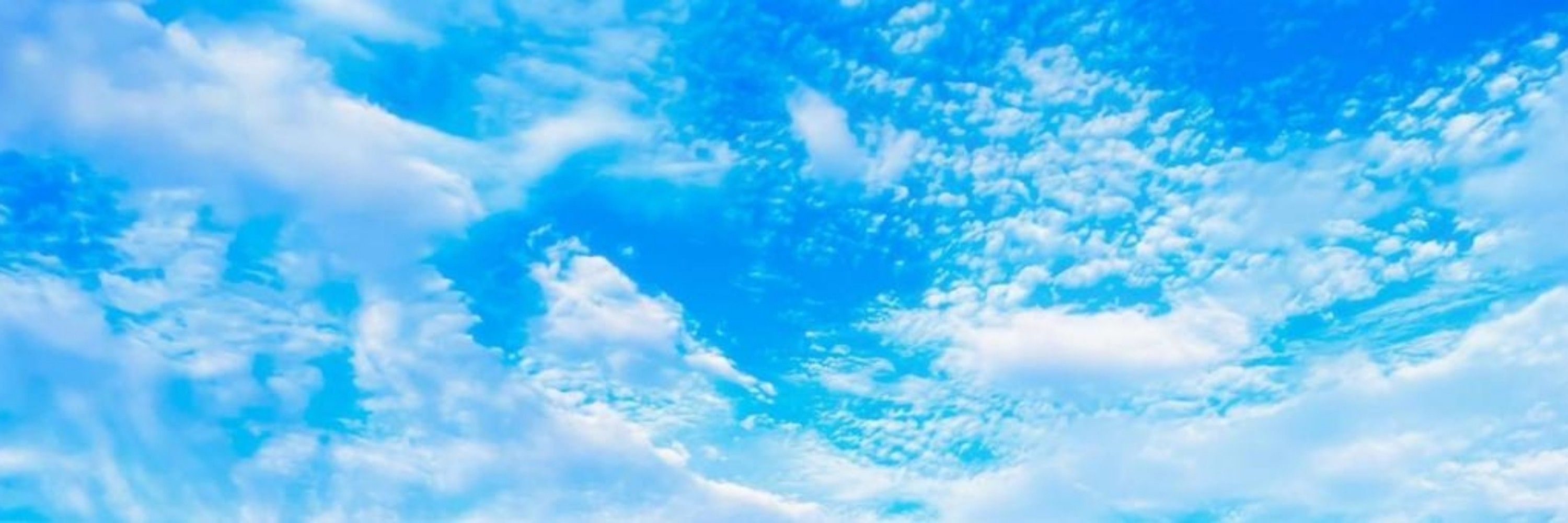 しらゆき