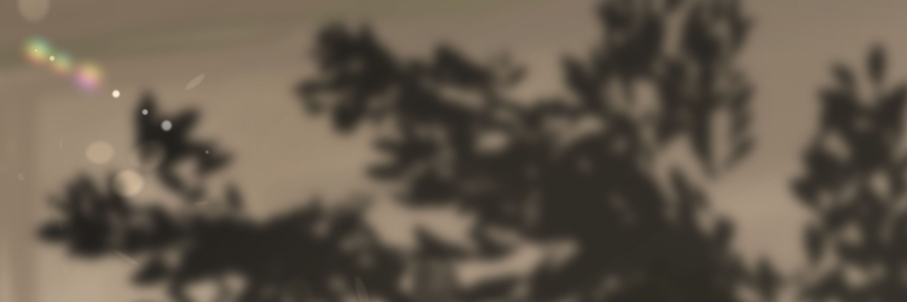 sky ໑ /ᐠ - ˕ -マฅ ⊹ ֺ ִ