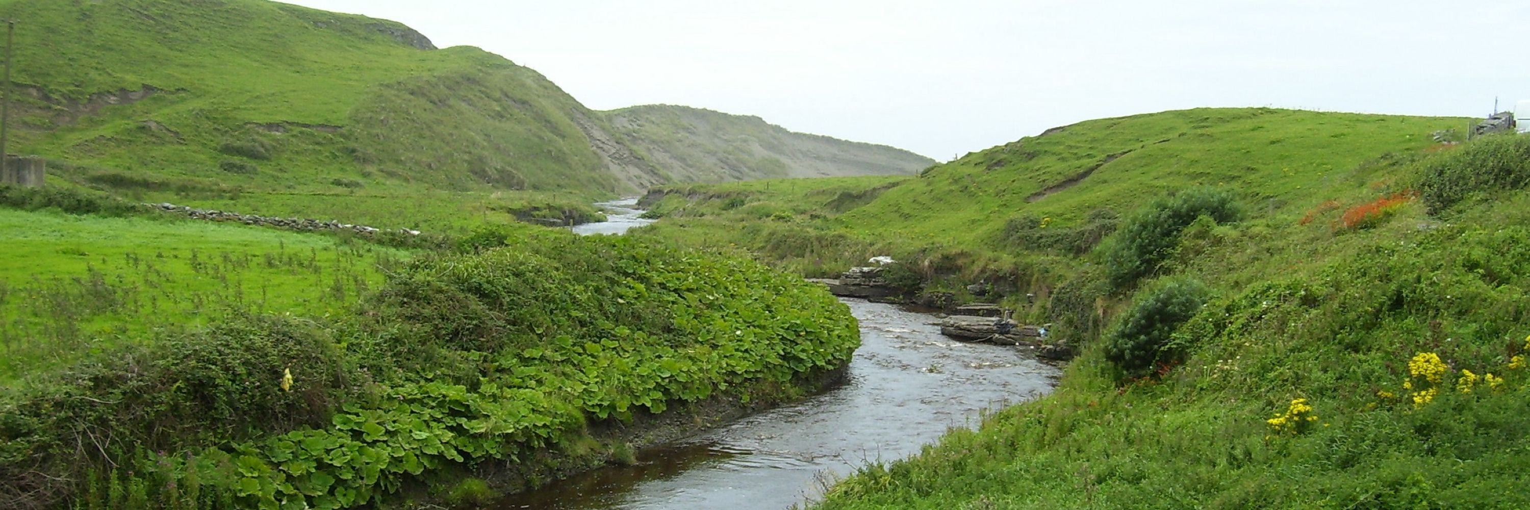 Dainéil Mac Bearbóir