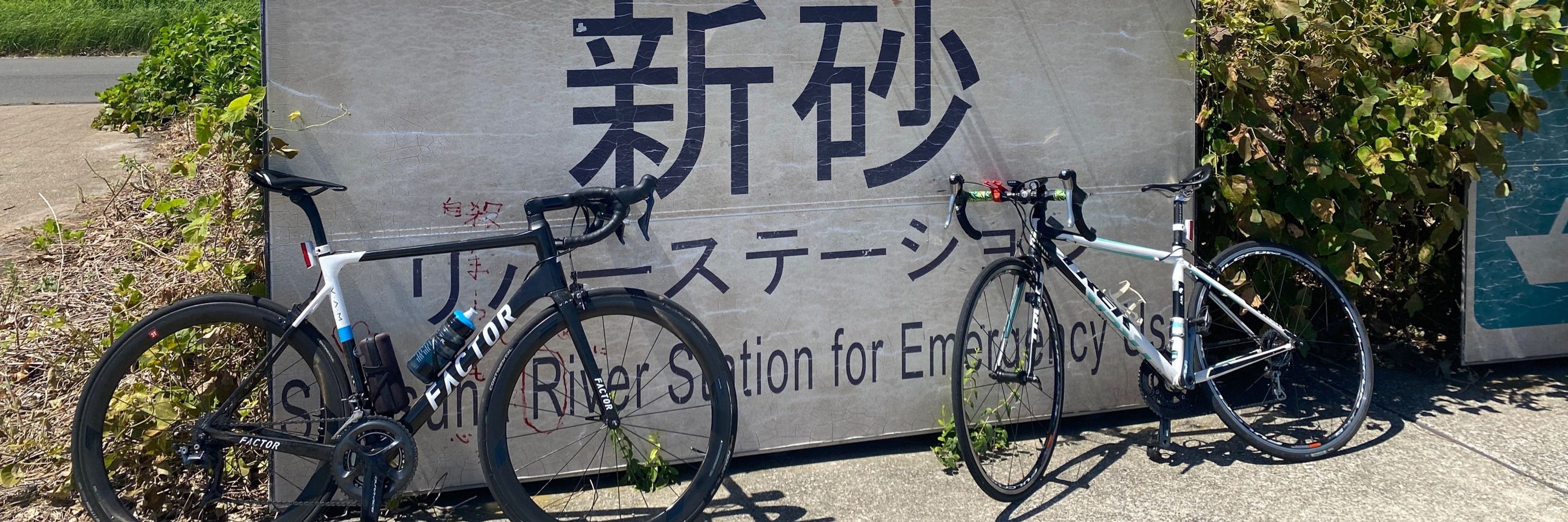 立花そう