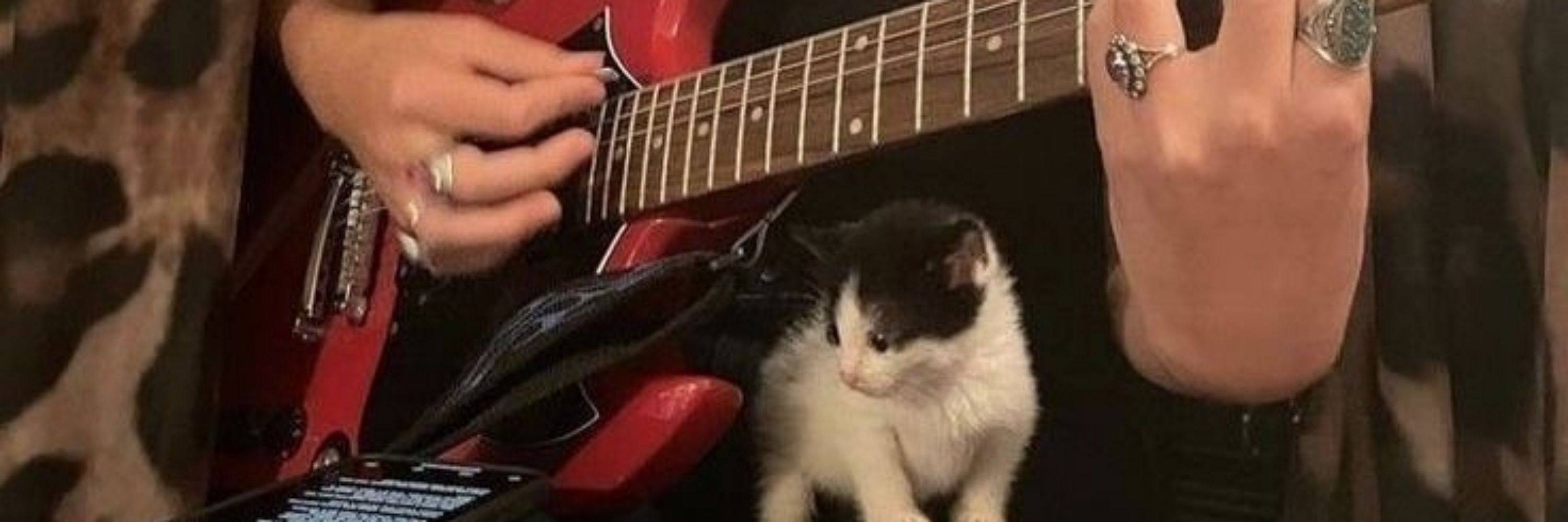 🐈‍⬛