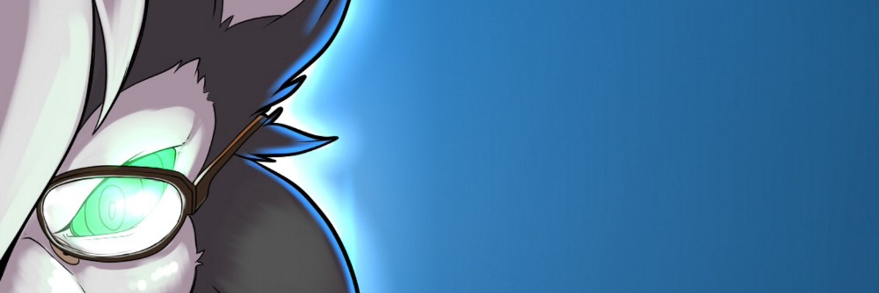 Profile banner