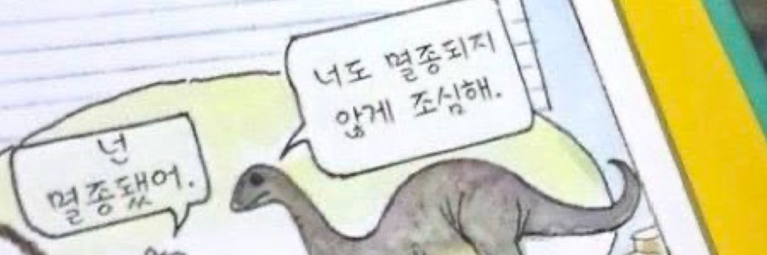 담(요)