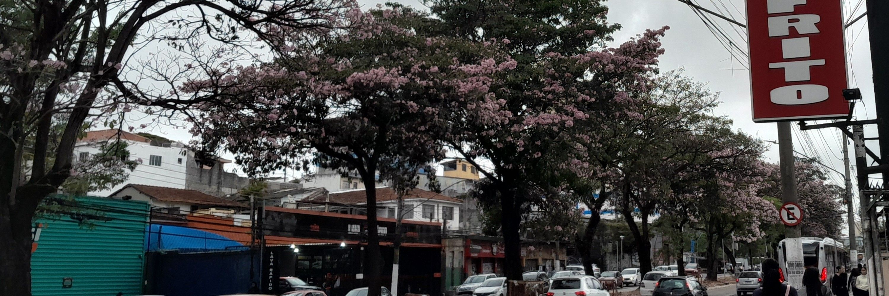 _brenbrendinha 
