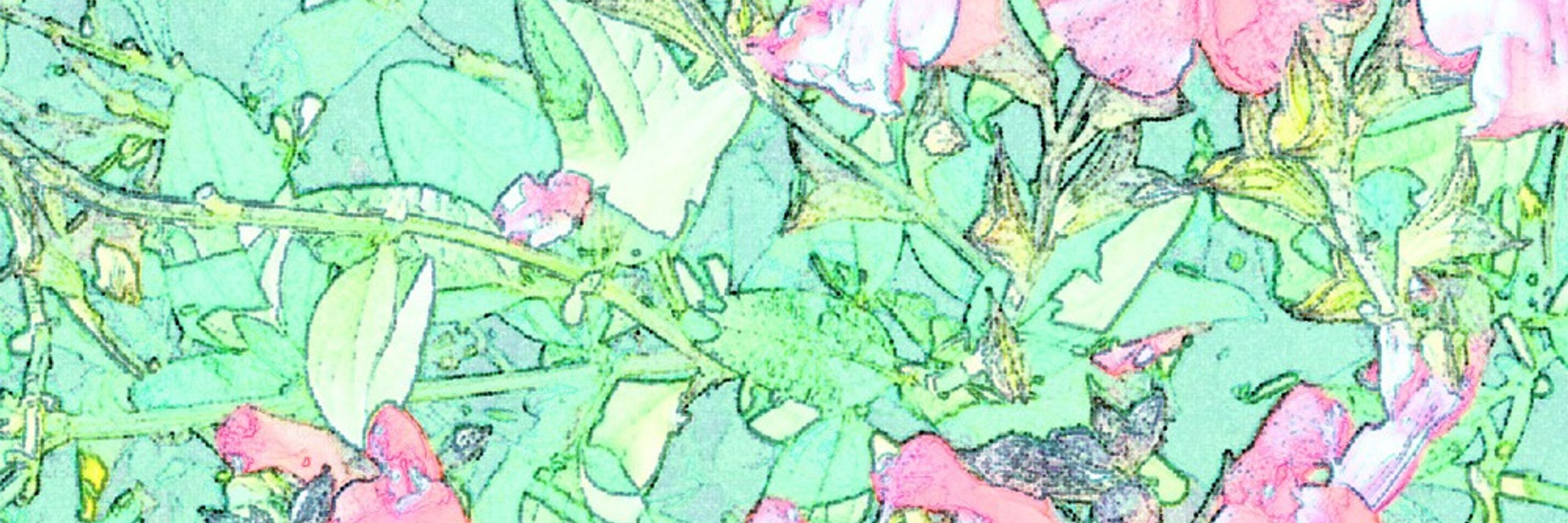 月麦