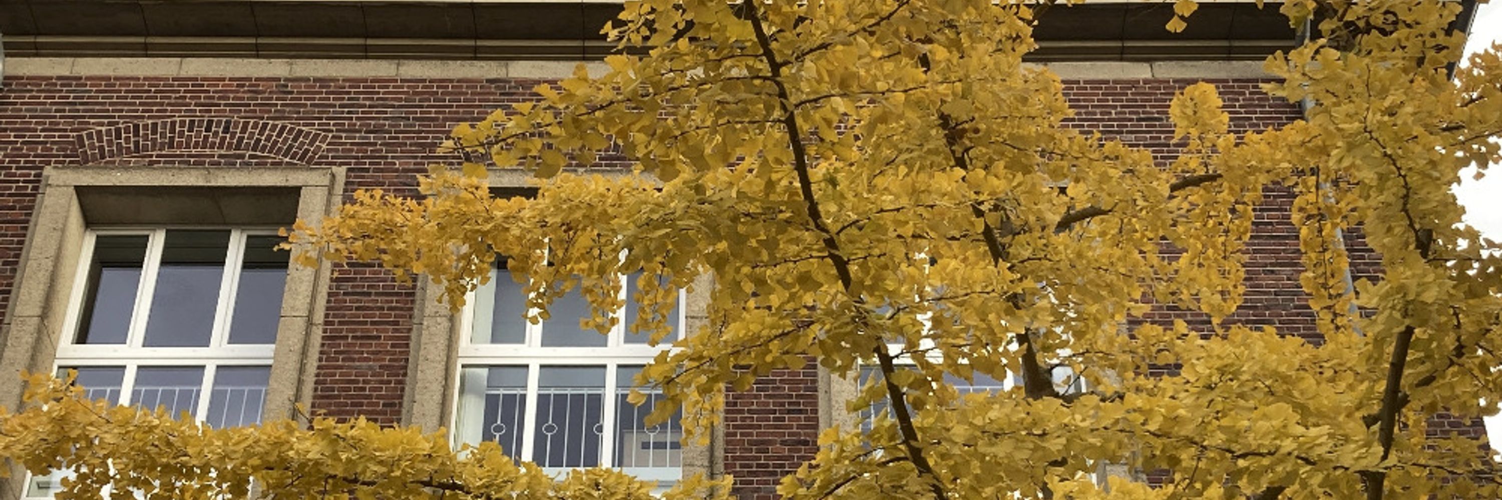 Plant Energy Biology Lab