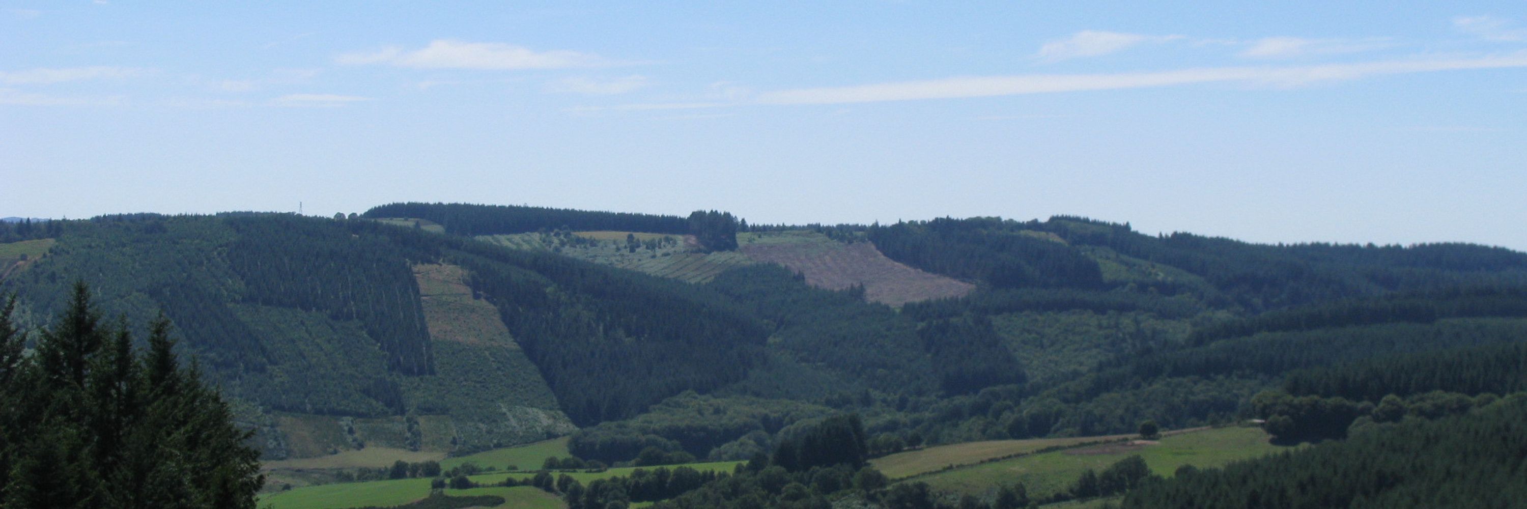 Zorrodeconduite