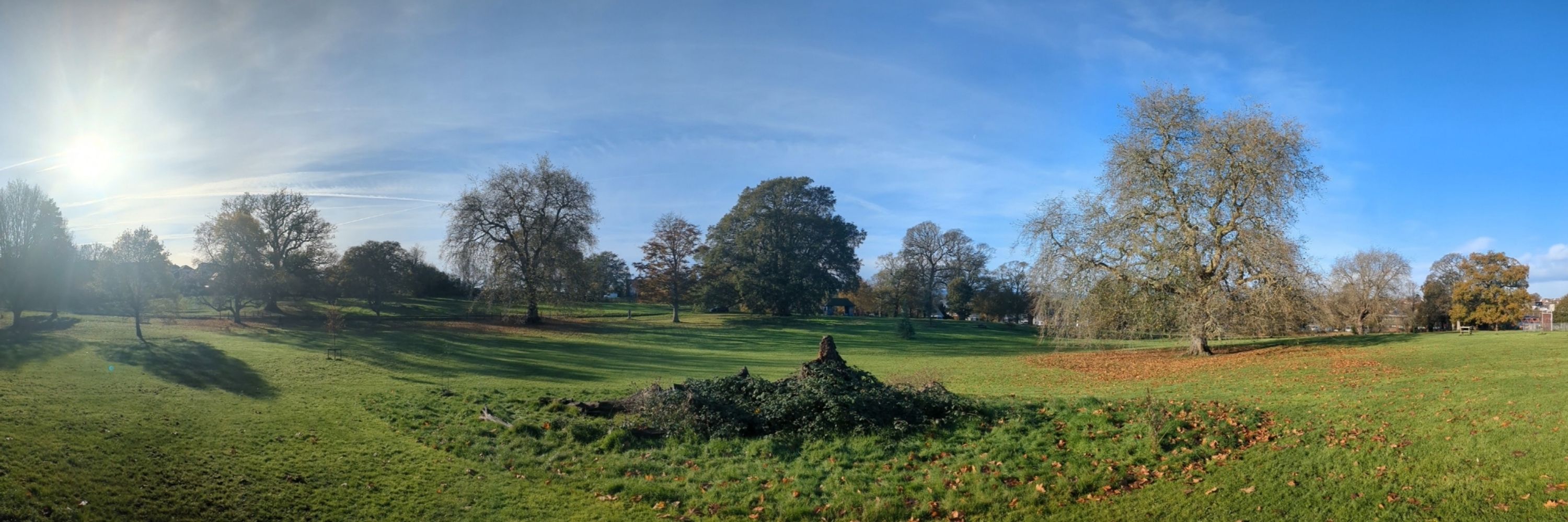 Exmouth Tree Project