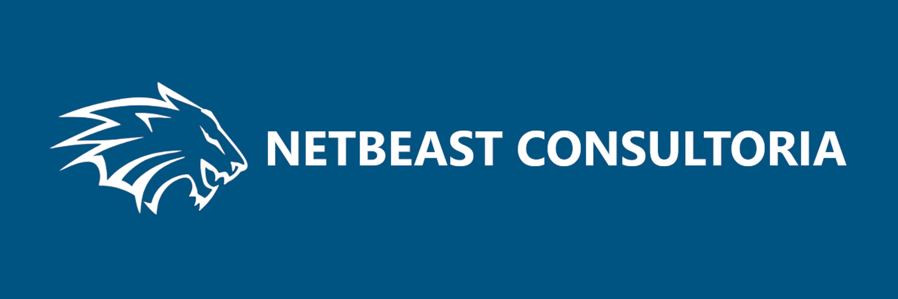 Netbeast Consultoria