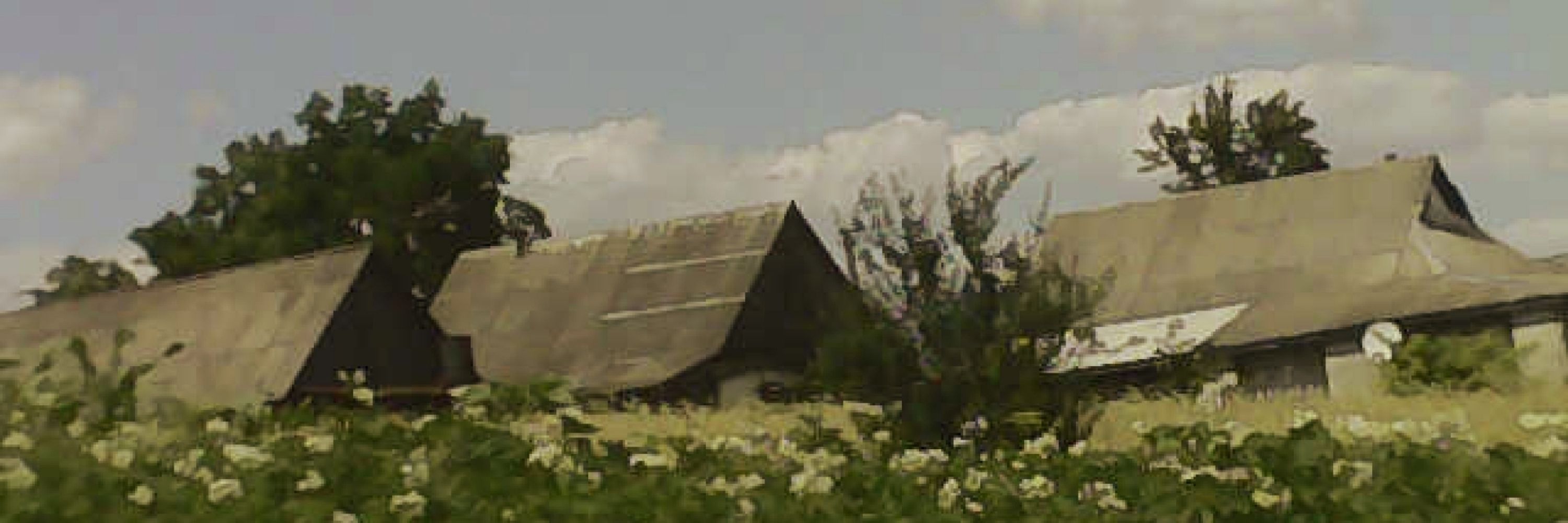 AgroTapok098
