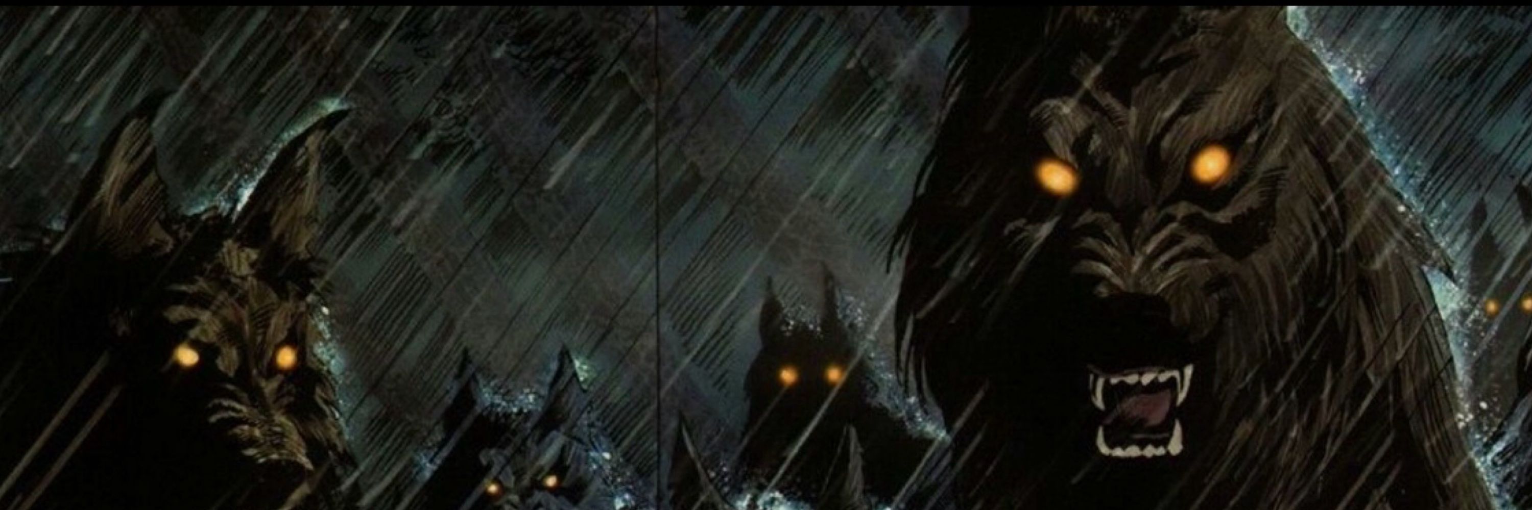 The phantom
