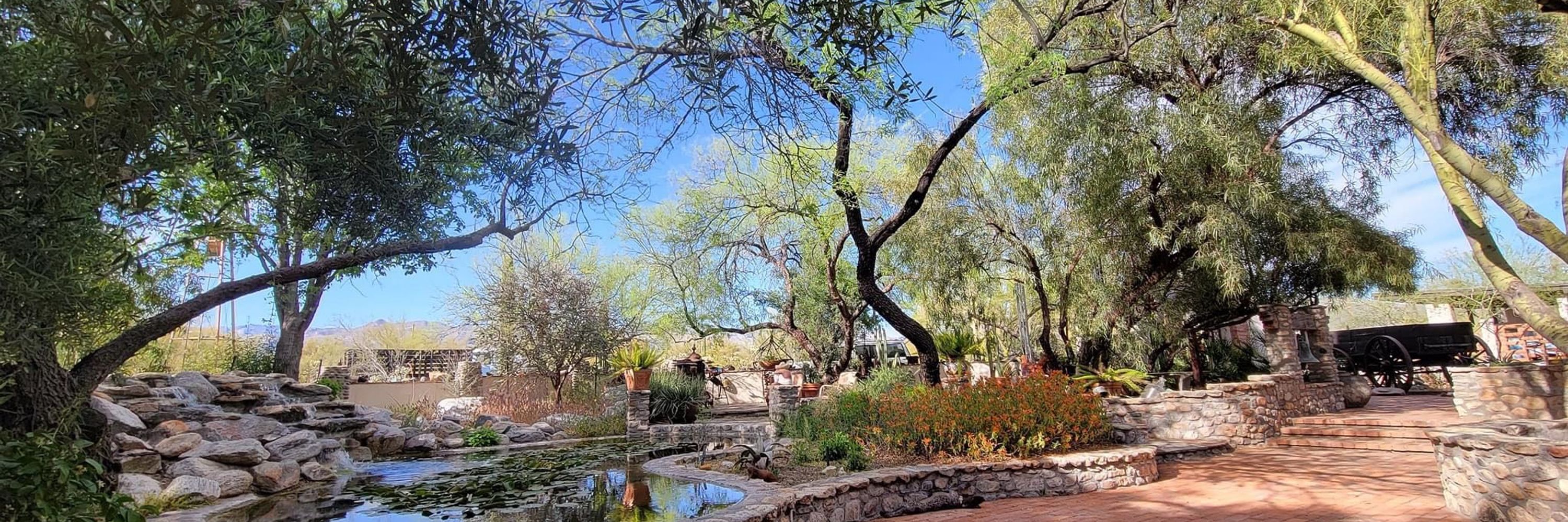 Laurie’s Haven in AZ 🐕🐕🐕🦮🐈‍⬛🐈🐈‍⬛
