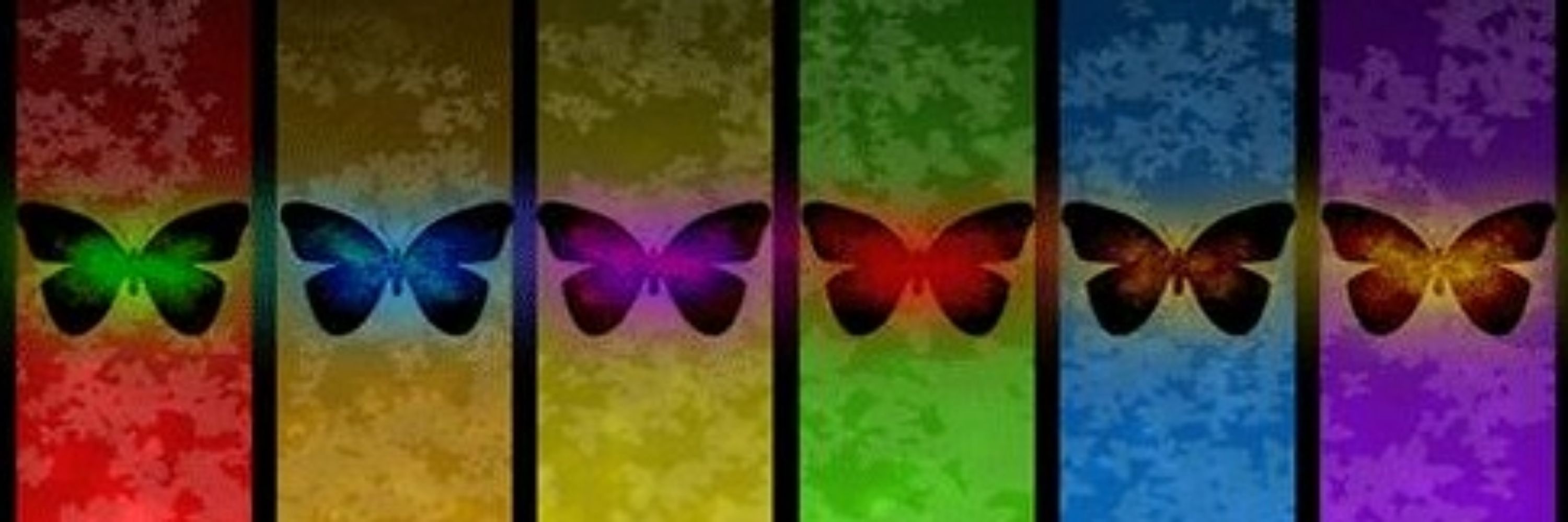 Victor 🦋