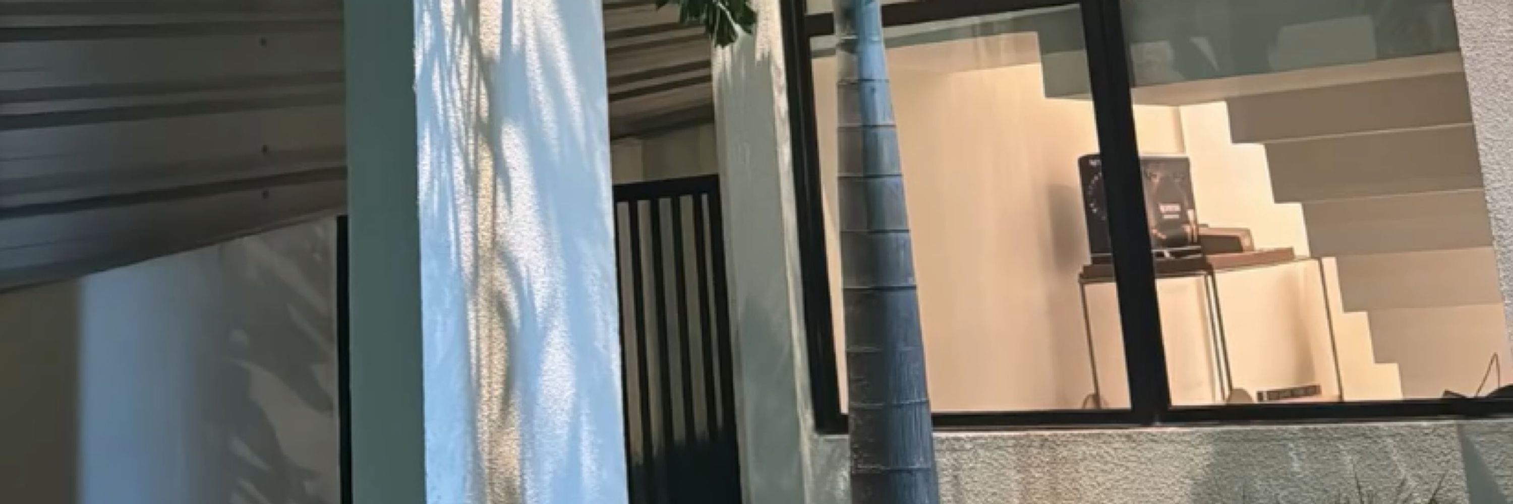 Neguinho 