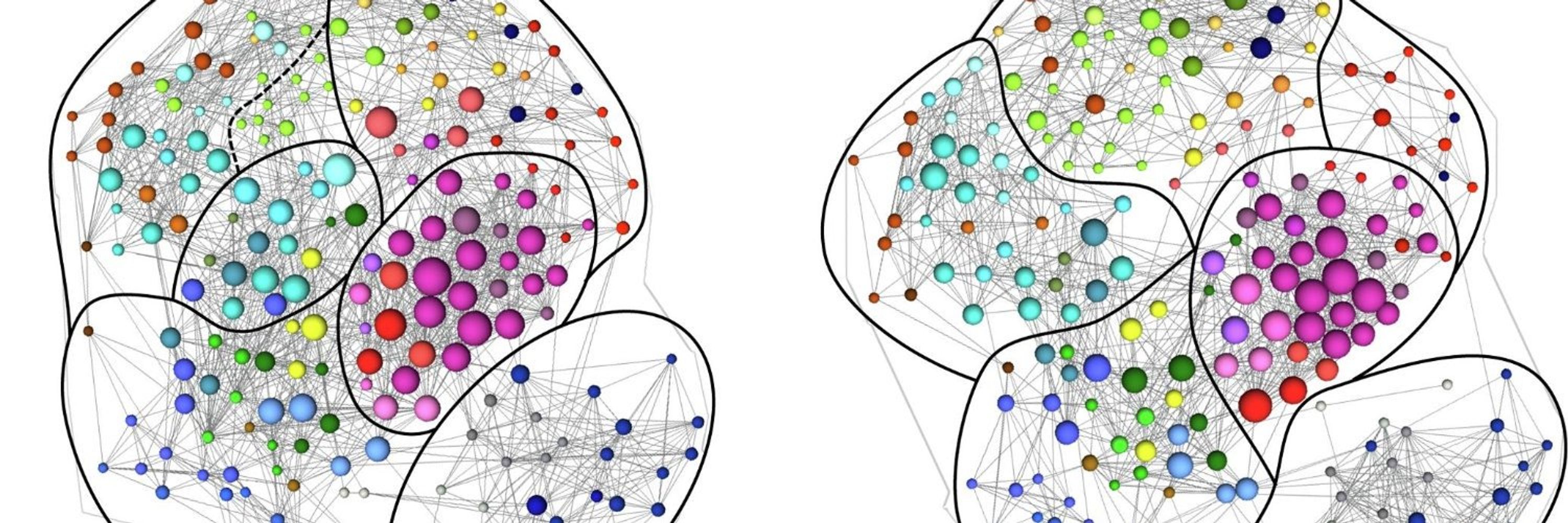 Brain, Behavior, and Immunity