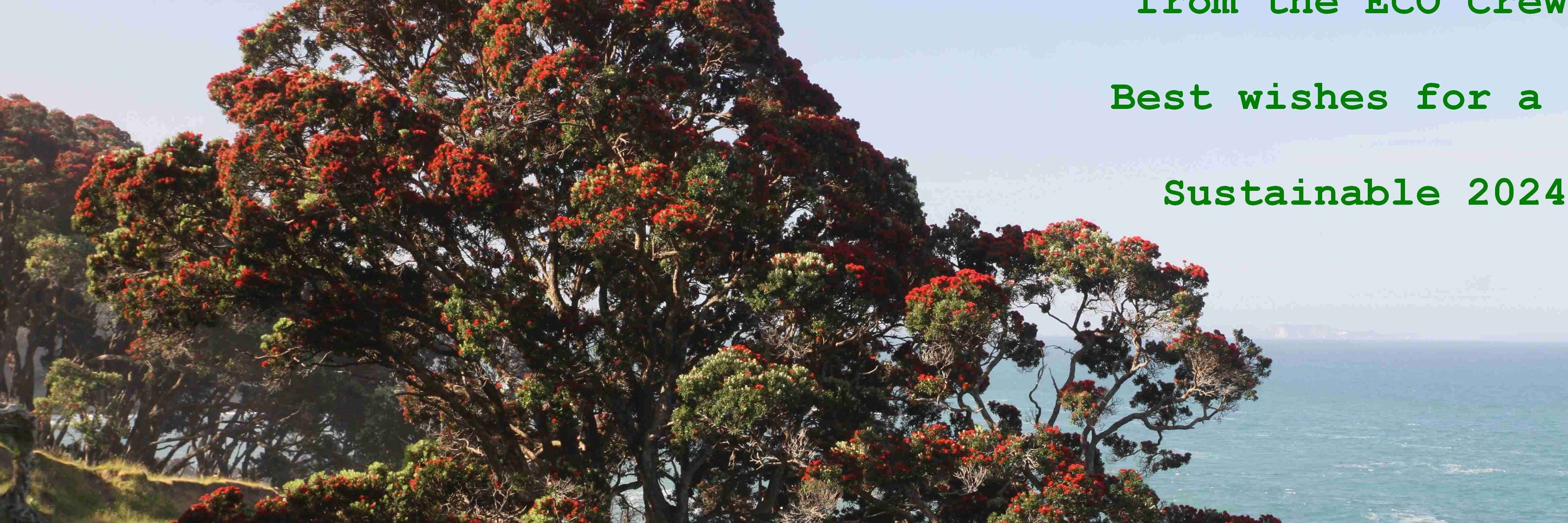 ECO NZ - Environment & Conservation Orgs