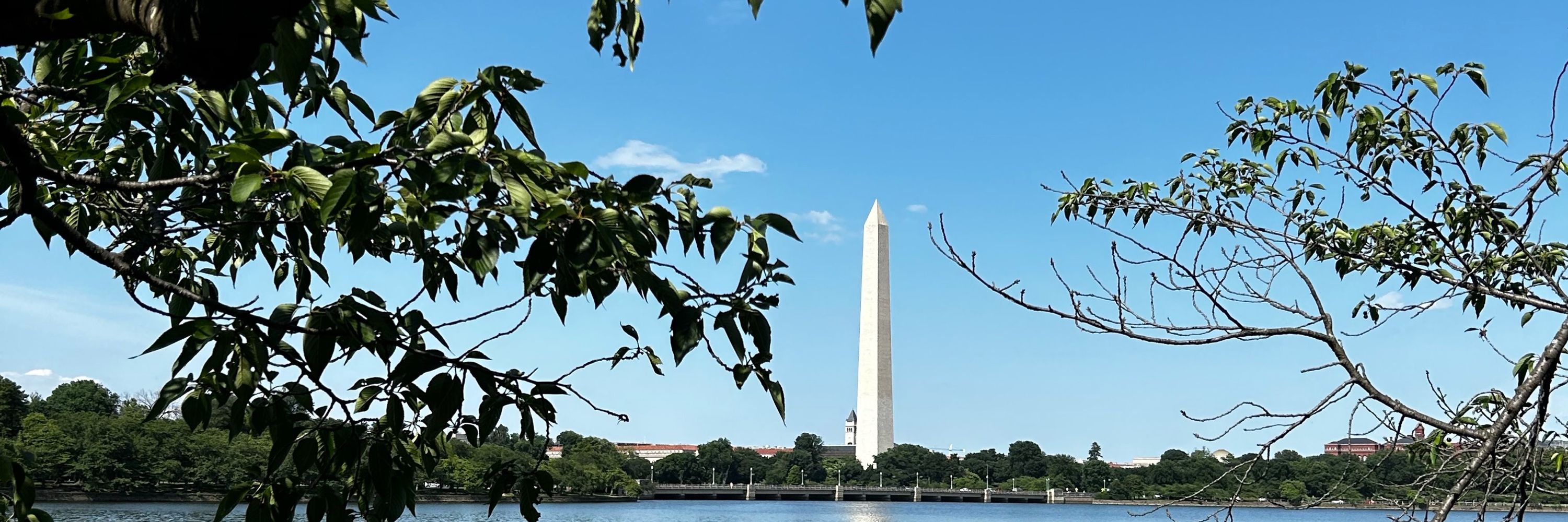 Dude In DC