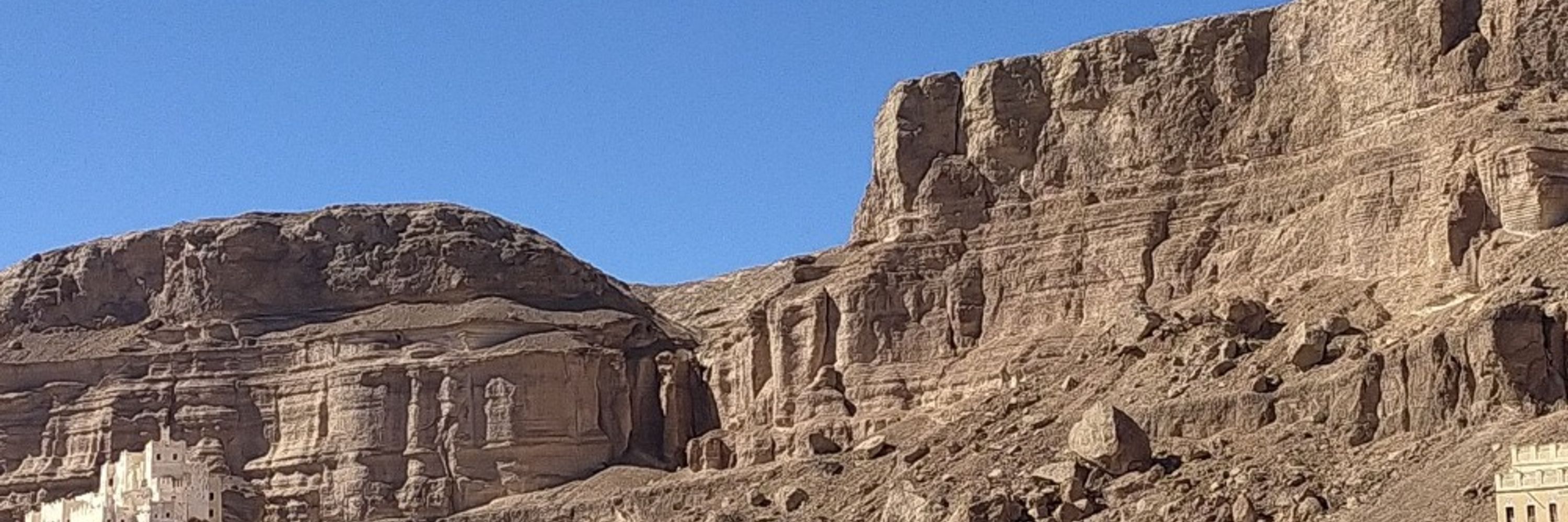 Basha باشا