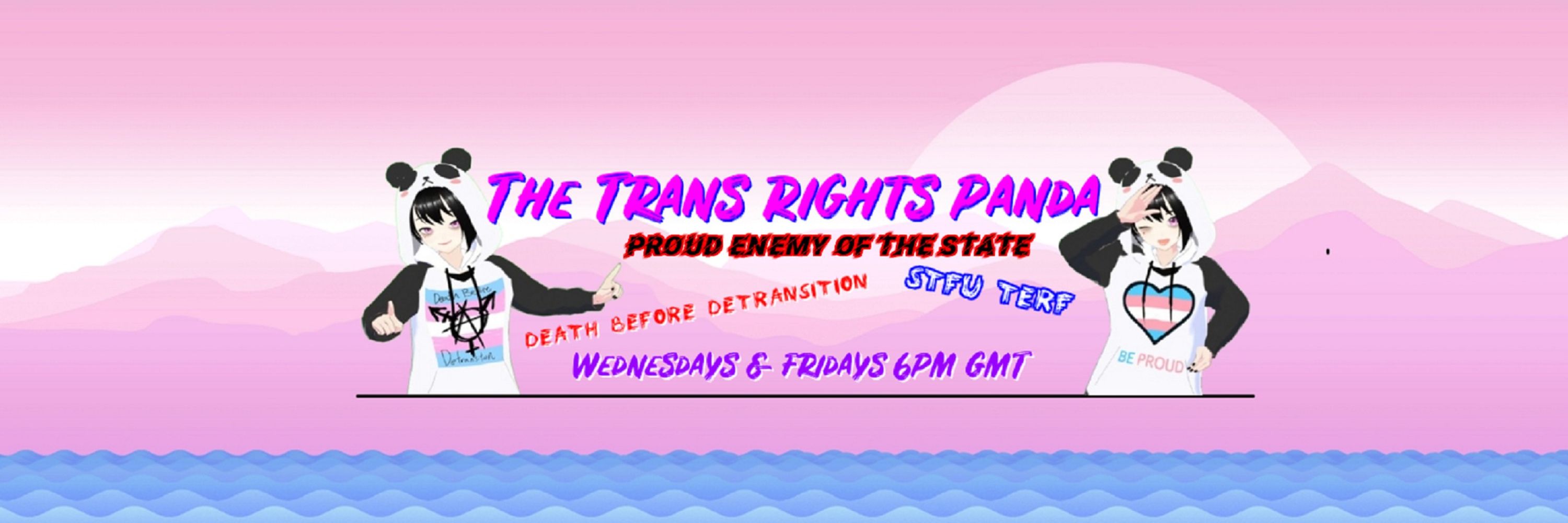 The Trans Rights Panda