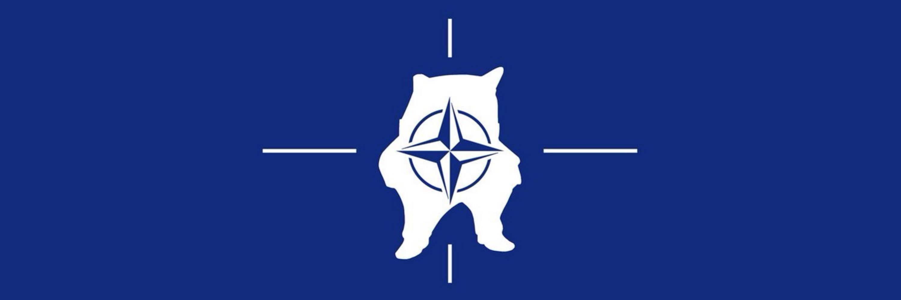 Grand Admiral Fella 🇵🇱🇪🇺 #NAFO