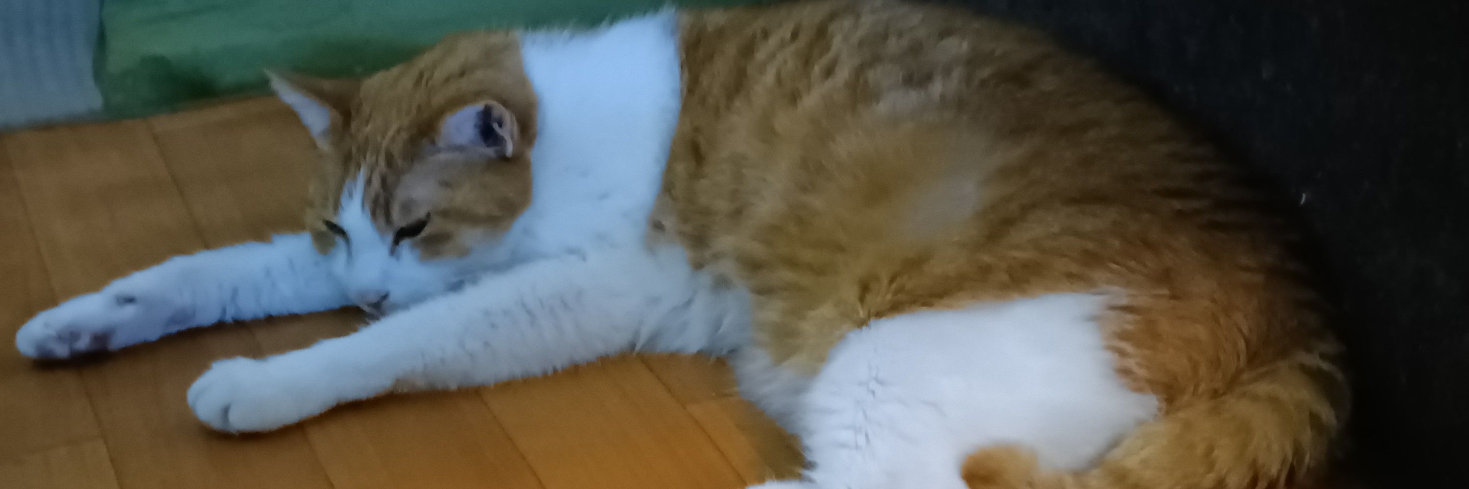 かわ