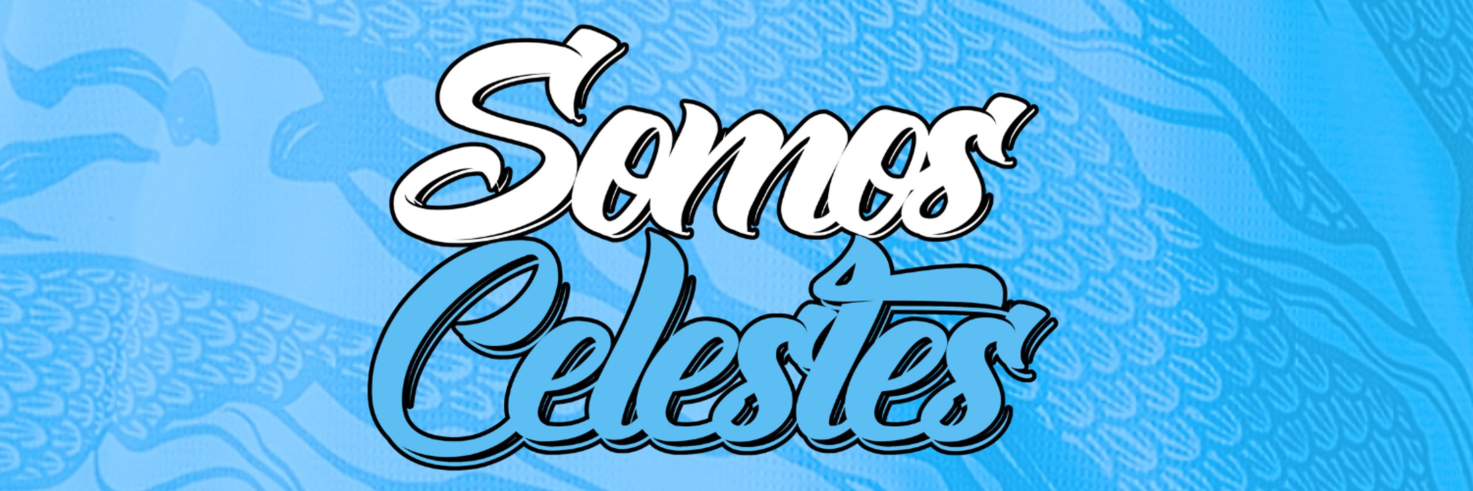 Somos Celestes (en Copa Libertadores)