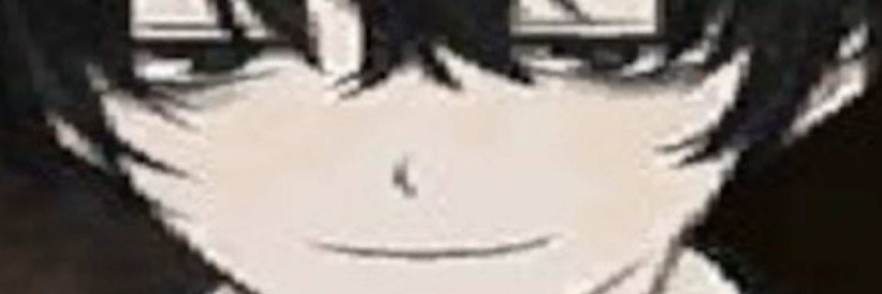 ideal man™