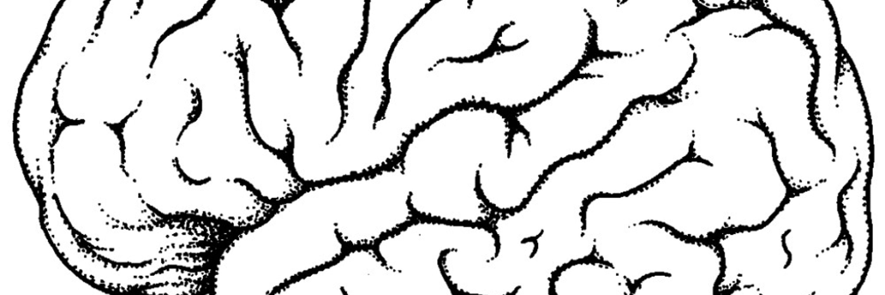 Slow Spike-Wave