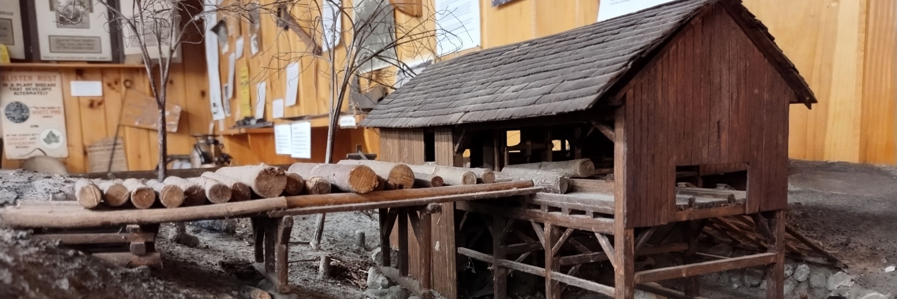 Zoo