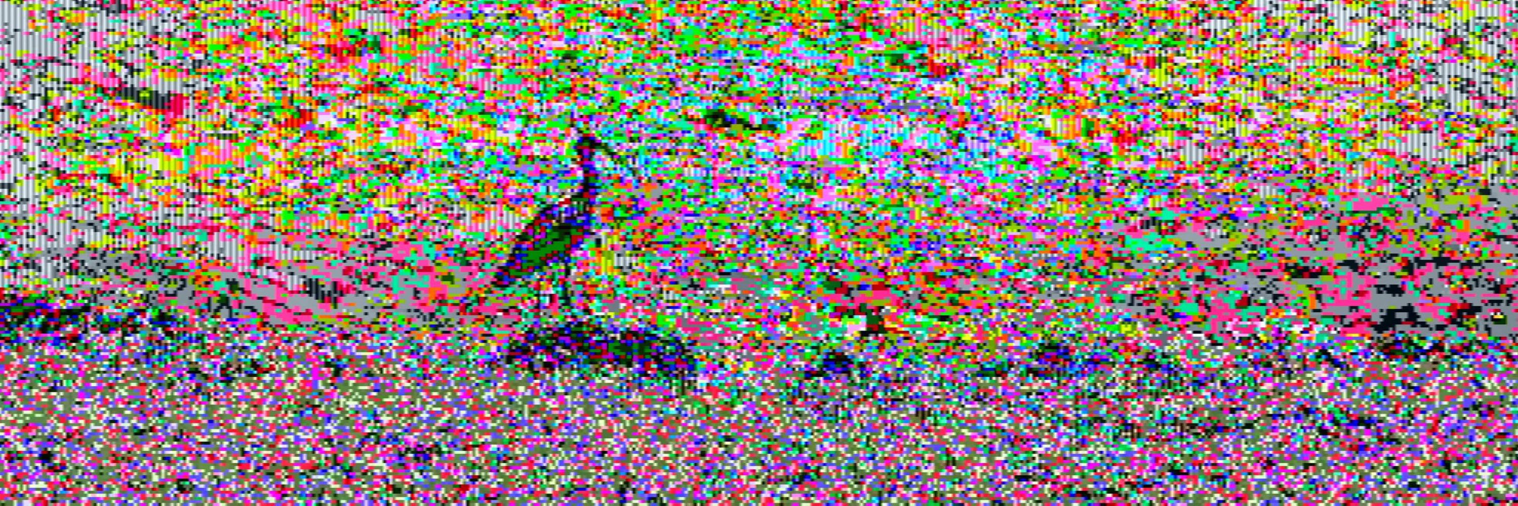 hawkward