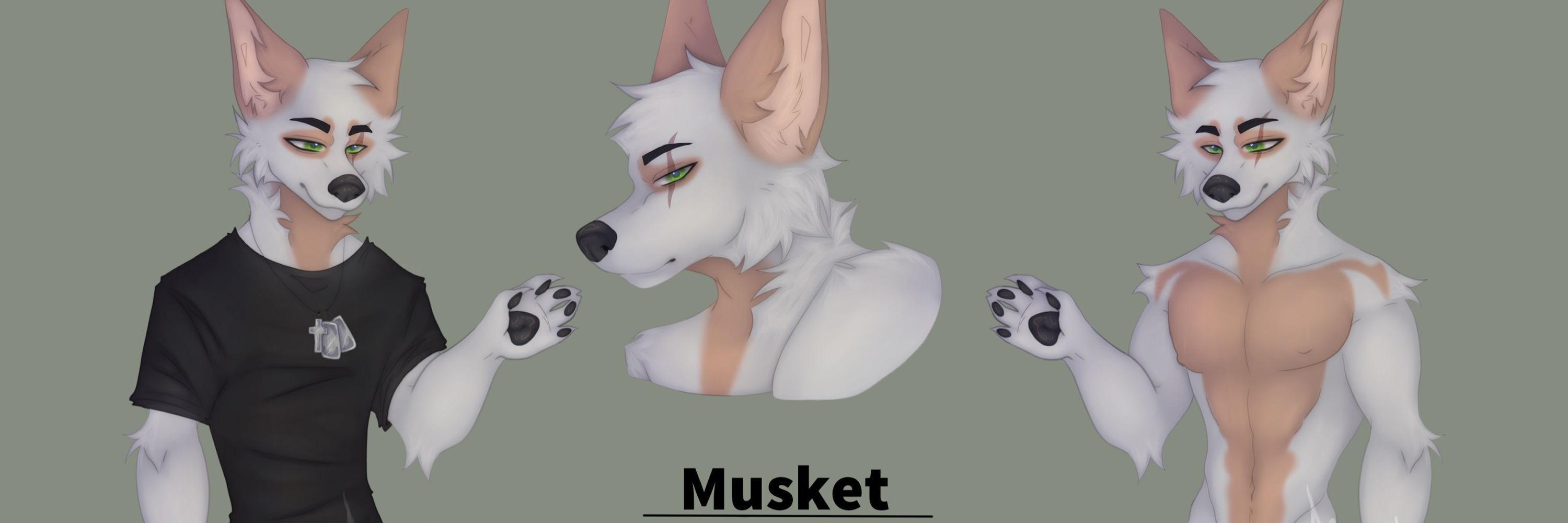 Musket the wolf