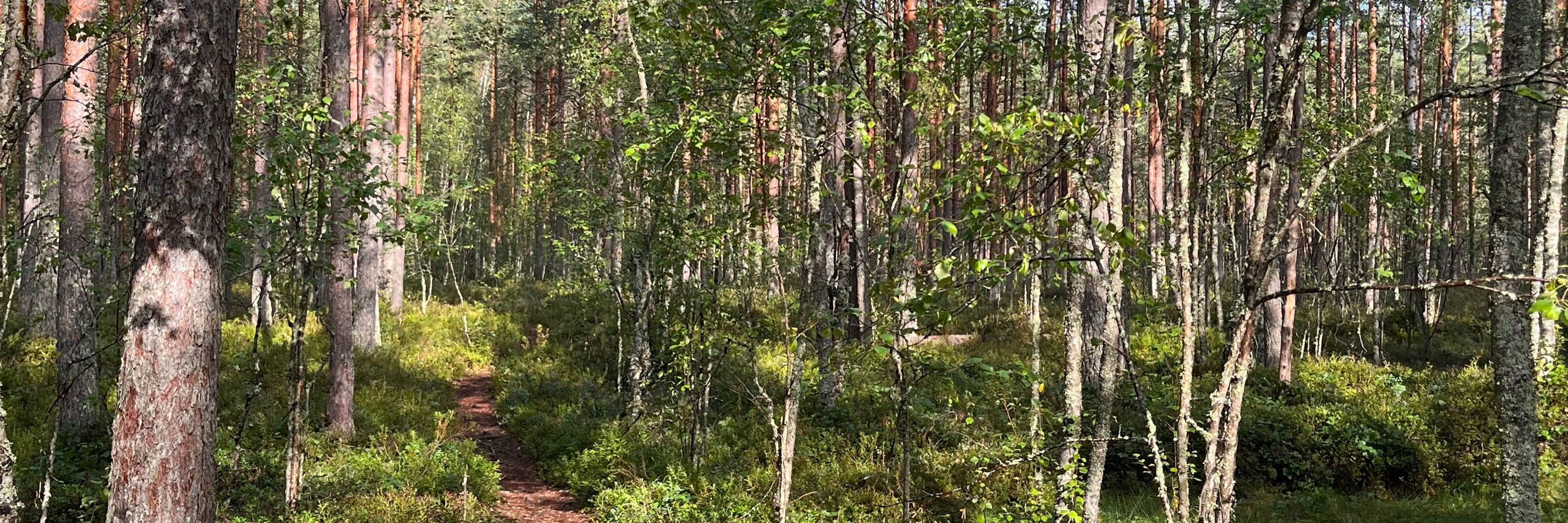 Tipi Takala
