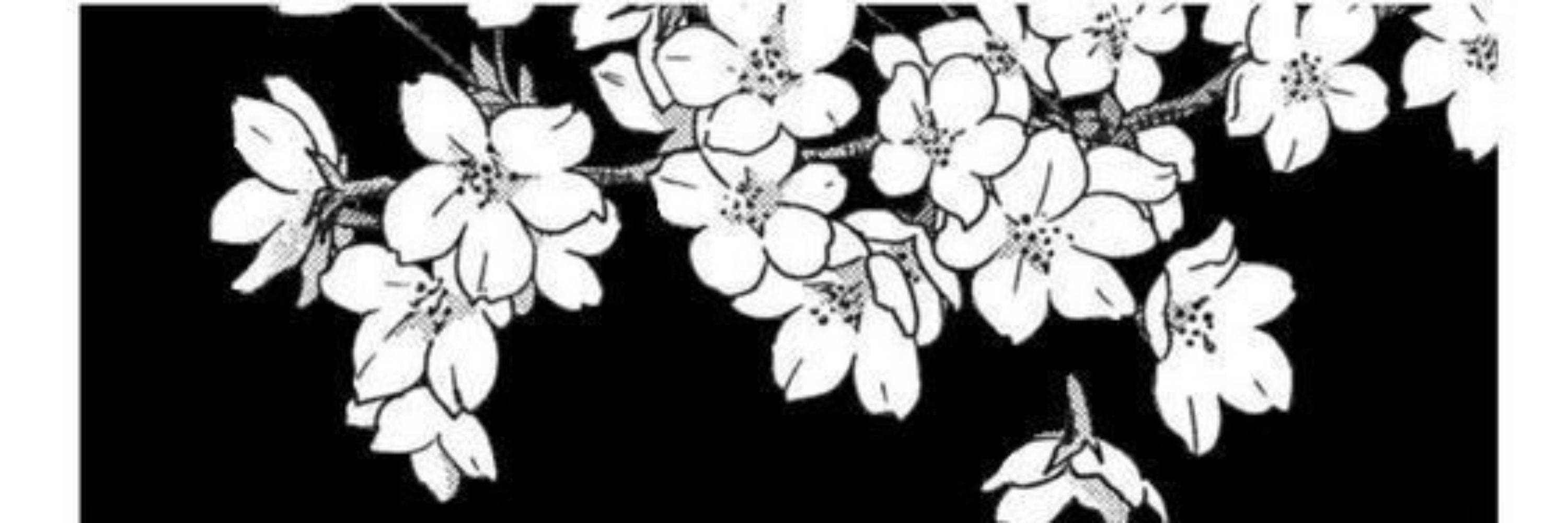 う