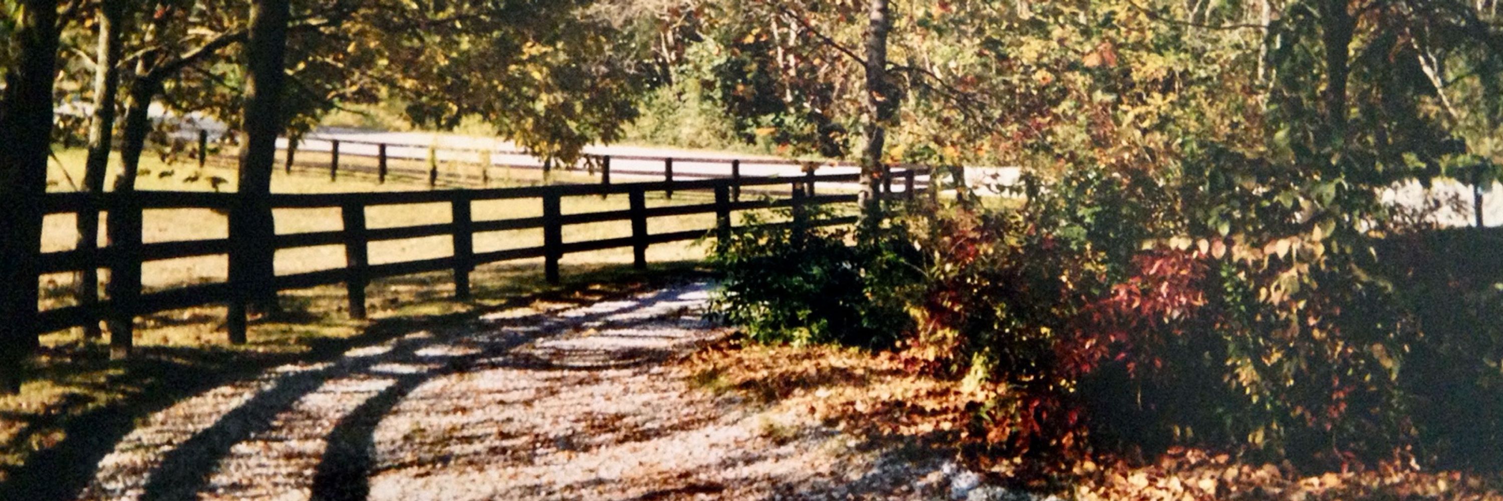 Clay In Ky