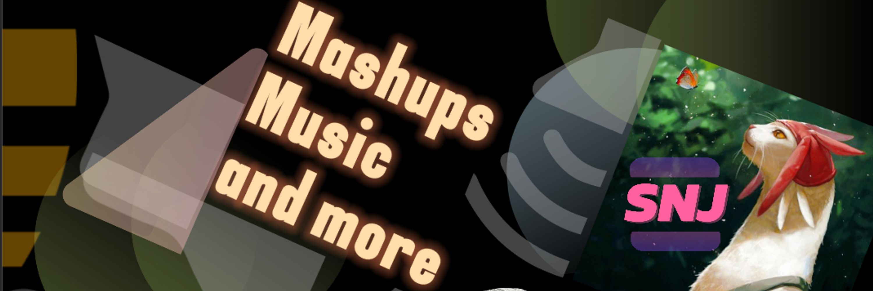 SNJ Mashups