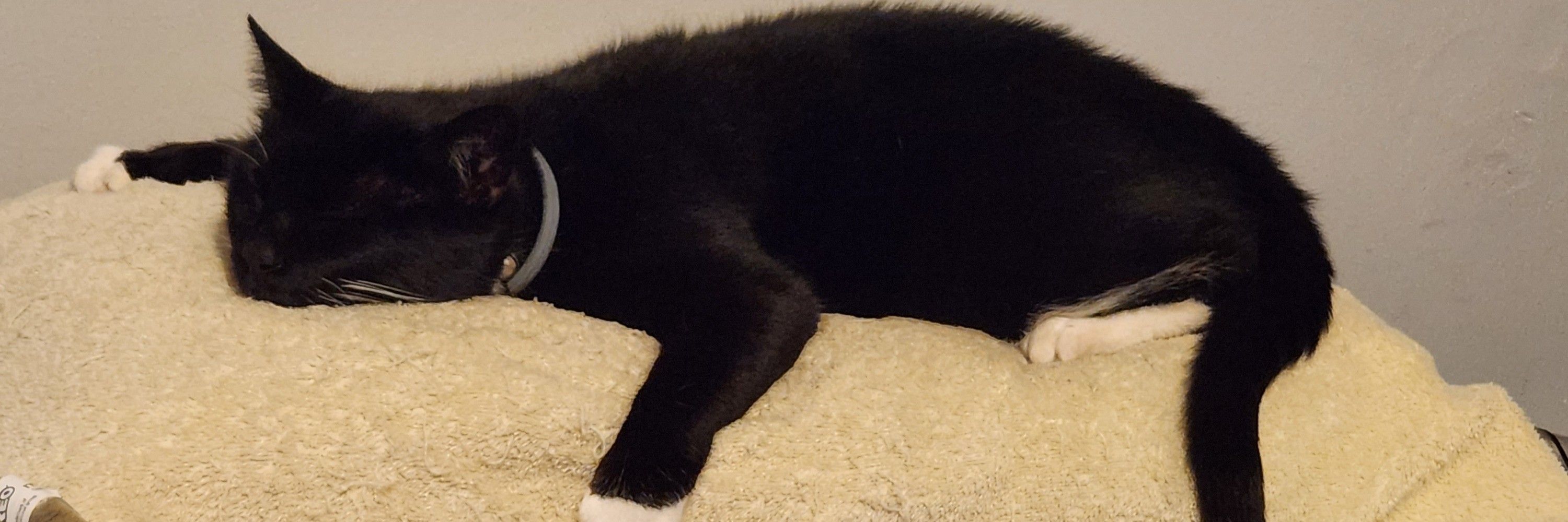 TiredAFSmiff