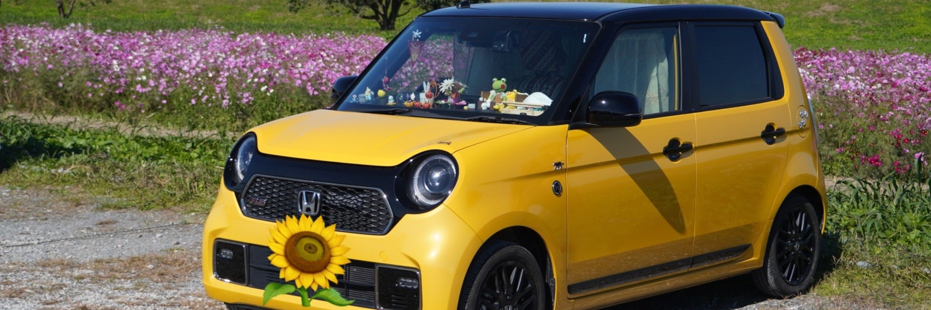 らっぷ🌻