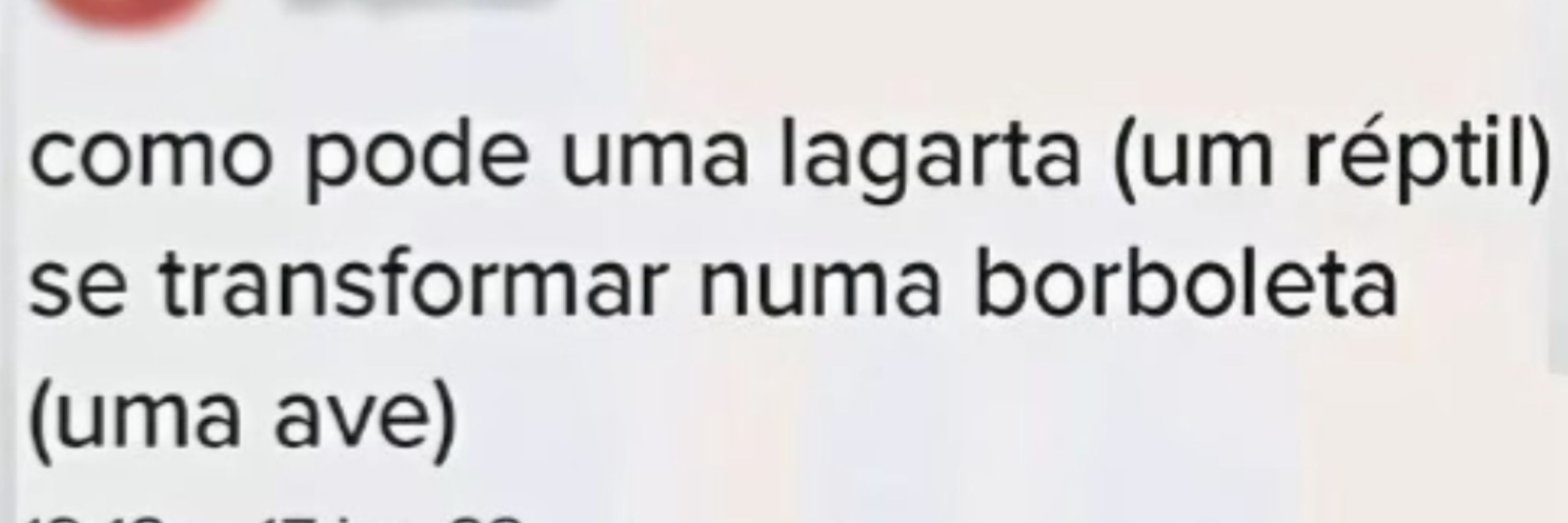 MeuNomeéJão